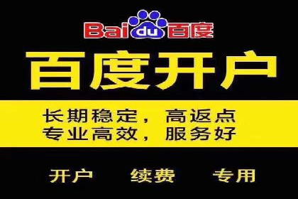 百度竞价排名实战：某行业领先企业的成功之路
